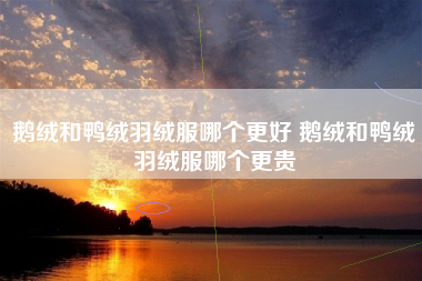 鹅绒和鸭绒羽绒服哪个更好 鹅绒和鸭绒羽绒服哪个更贵