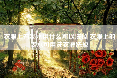 衣服上有墨水用什么可以洗掉 衣服上的墨水可用洗衣液洗掉