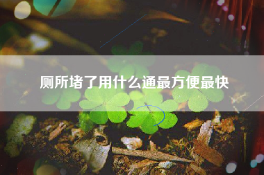 厕所堵了用什么通最方便最快