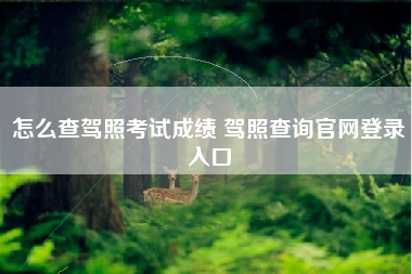 怎么查驾照考试成绩 驾照查询官网登录入口