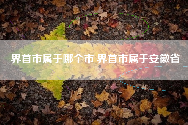 界首市属于哪个市 界首市属于安徽省