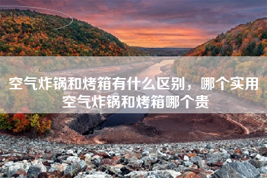 空气炸锅和烤箱有什么区别，哪个实用 空气炸锅和烤箱哪个贵