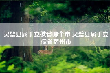 灵璧县属于安徽省哪个市 灵璧县属于安徽省宿州市