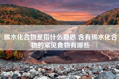 碳水化合物是指什么意思 含有碳水化合物的常见食物有哪些