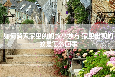 如何消灭家里的蚂蚁小妙方 家里出现蚂蚁是怎么回事