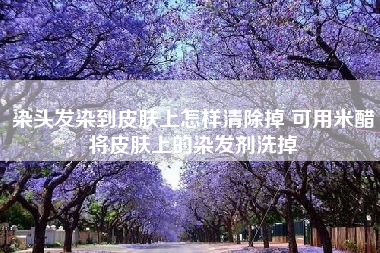 染头发染到皮肤上怎样清除掉 可用米醋将皮肤上的染发剂洗掉