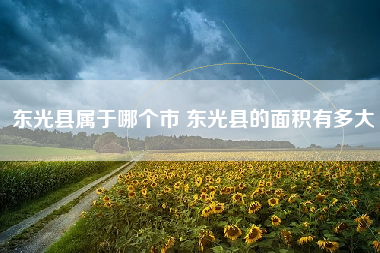 东光县属于哪个市 东光县的面积有多大
