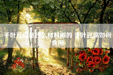 千叶豆腐是什么材料做的 千叶豆腐如何食用