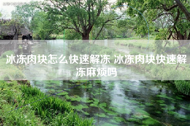 冰冻肉块怎么快速解冻 冰冻肉块快速解冻麻烦吗