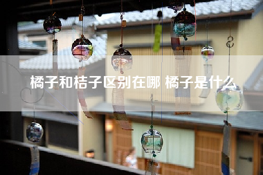 橘子和桔子区别在哪 橘子是什么