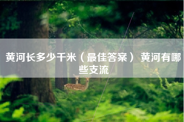 黄河长多少千米（最佳答案） 黄河有哪些支流