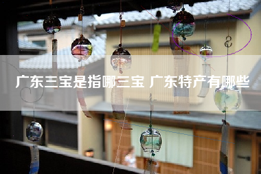 广东三宝是指哪三宝 广东特产有哪些