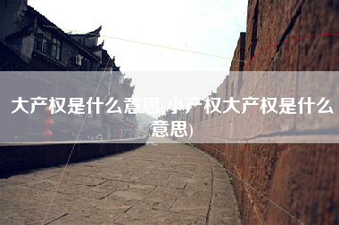 大产权是什么意思(小产权大产权是什么意思)