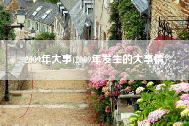 2009年大事(2009年发生的大事情)