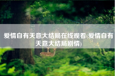 爱情自有天意大结局在线观看(爱情自有天意大结局剧情)
