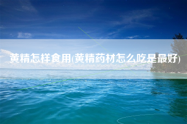 黄精怎样食用(黄精药材怎么吃是最好)