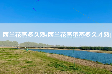 西兰花蒸多久熟(西兰花蒸蛋蒸多久才熟)