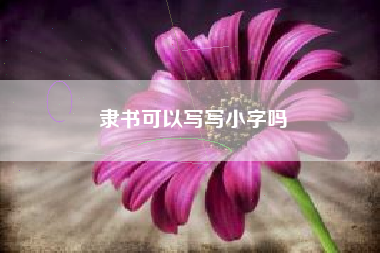 隶书可以写写小字吗