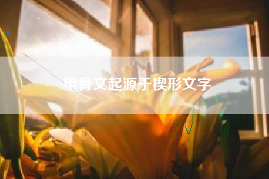 甲骨文起源于楔形文字