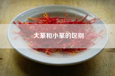 大篆和小篆的区别