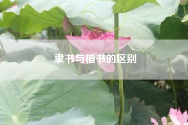 隶书与楷书的区别
