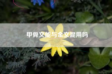 甲骨文能与金文混用吗