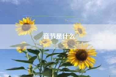 音节是什么