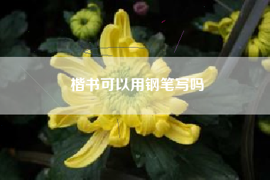 楷书可以用钢笔写吗