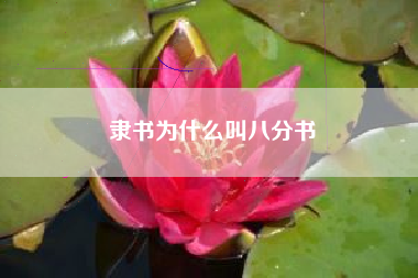 楷书四大家是哪几位