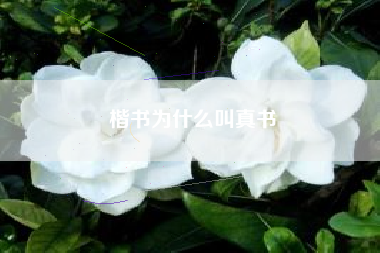 楷书是其余三种的起源吗-