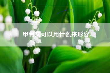 甲骨文可以用什么来形容