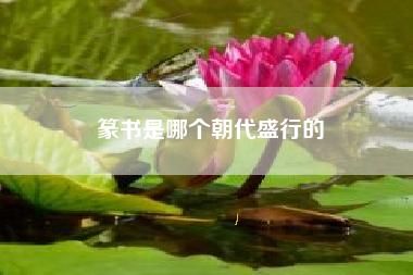 篆书是哪个朝代盛行的
