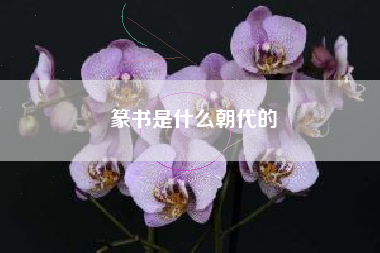 篆书是什么朝代的
