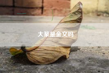 大篆是金文吗