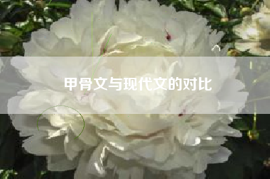 甲骨文与现代文的对比