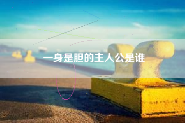 一身是胆的主人公是谁
