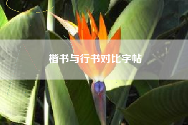 楷书与行书对比字帖