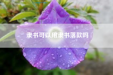 隶书可以用隶书落款吗