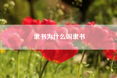 隶书为什么叫隶书