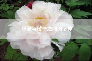 小篆与楷书之间的字体