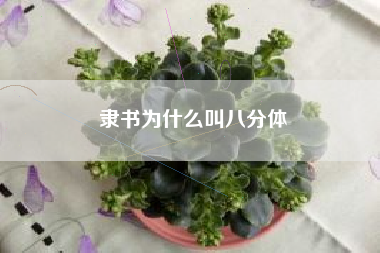 隶书为什么叫八分体
