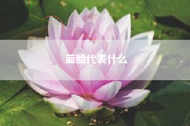 蓝脸代表什么
