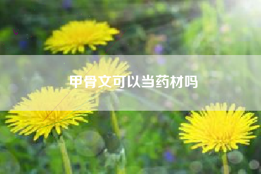 甲骨文可以当药材吗