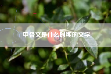 甲骨文是什么时期的文字