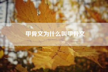甲骨文为什么叫甲骨文