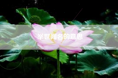 举世闻名的意思