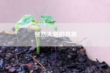 行书可以自学吗