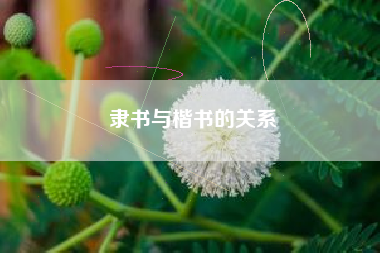 豆蔻年华是几岁