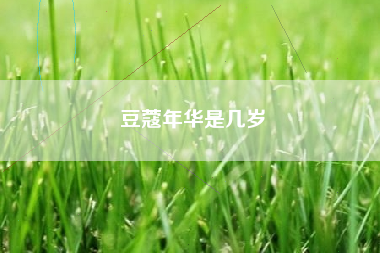 四书指的是什么书