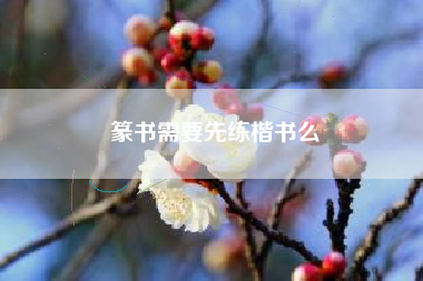 圆周率是谁发明的